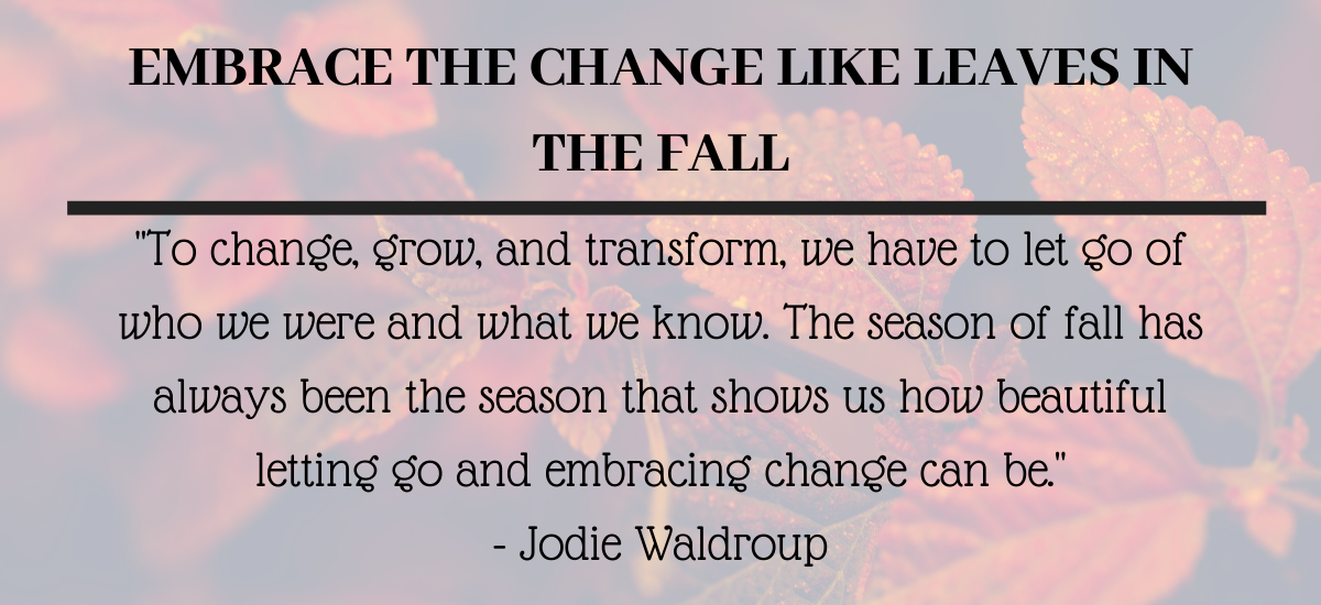 Embrace the Change like leaves in the Fall