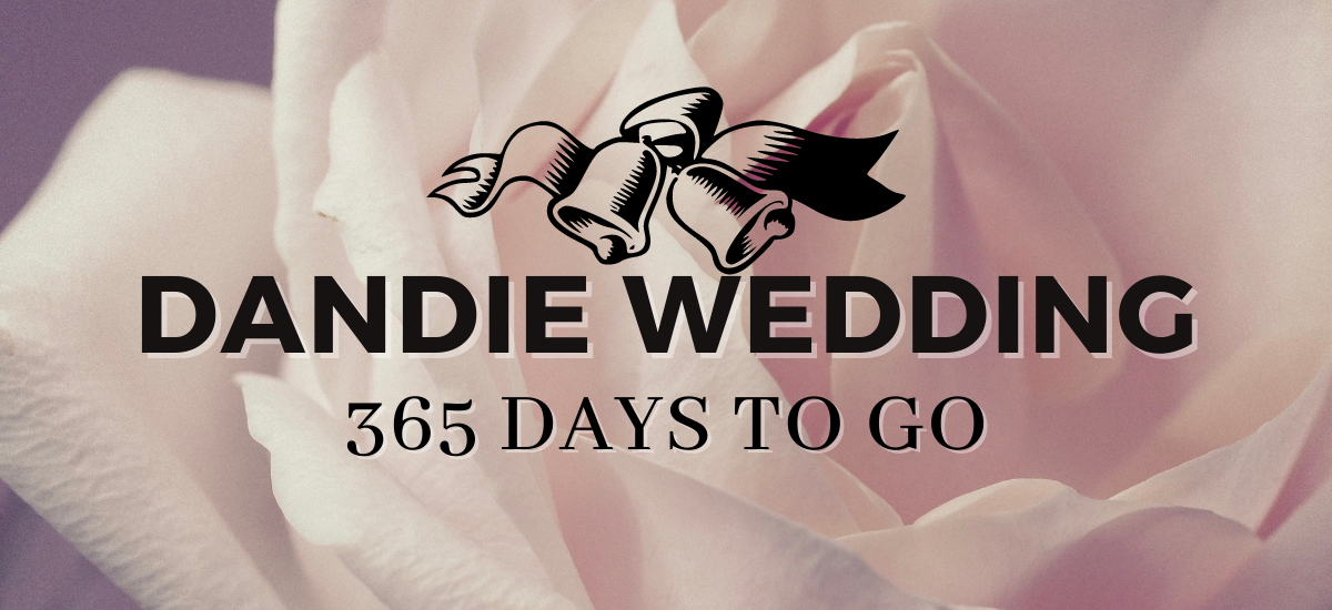 Dandie Wedding: 365 Days to Go!