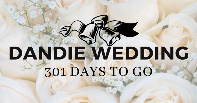 Dandie Wedding: 301 Days to Go