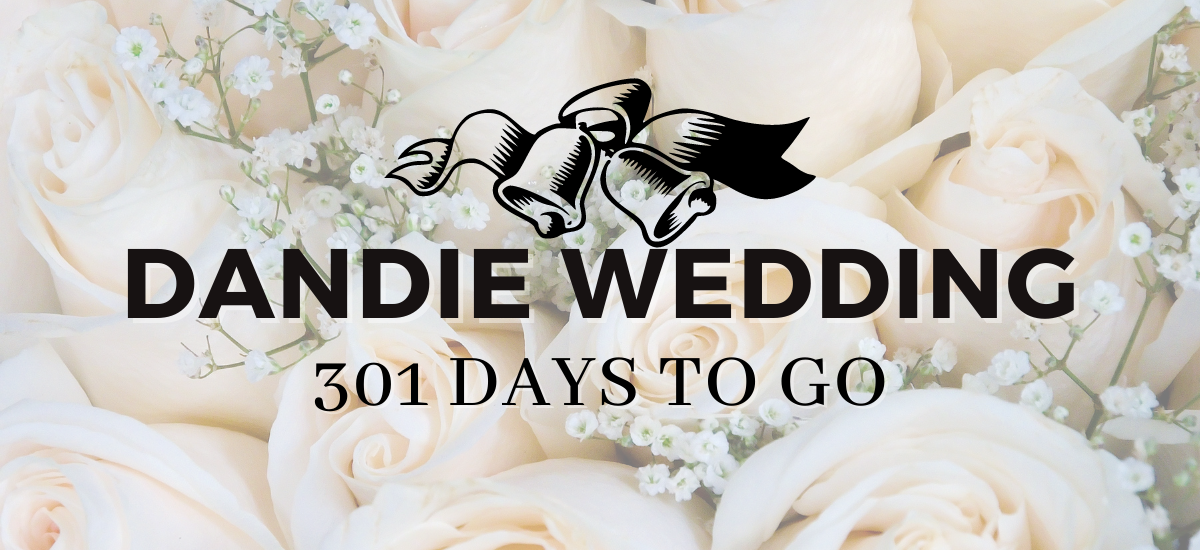 Dandie Wedding: 301 Days to Go