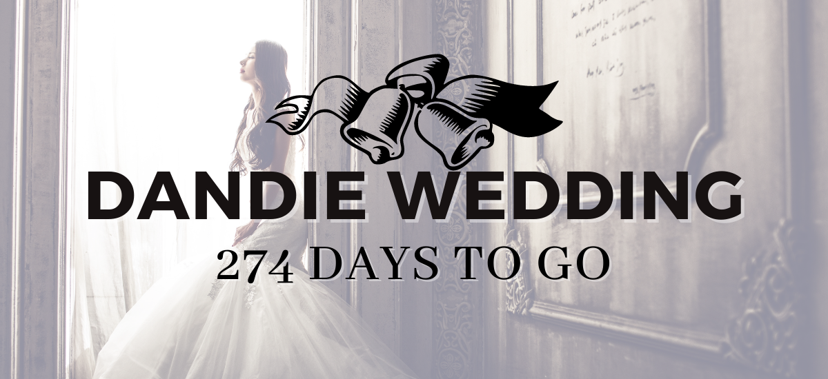 Dandie Wedding: 274 Days to go!