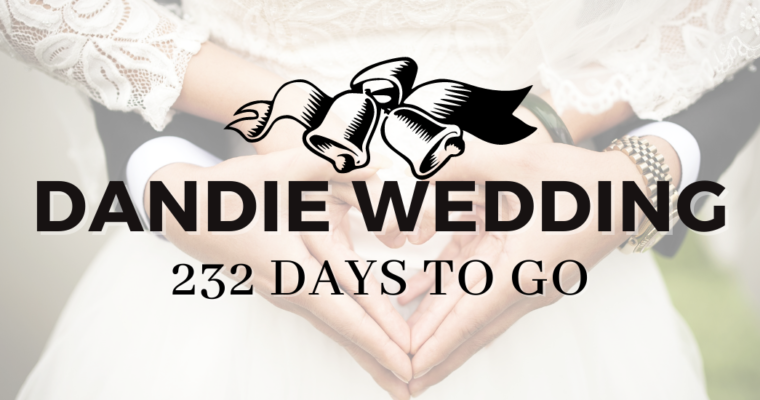 Dandie Wedding: 232 Days to go!