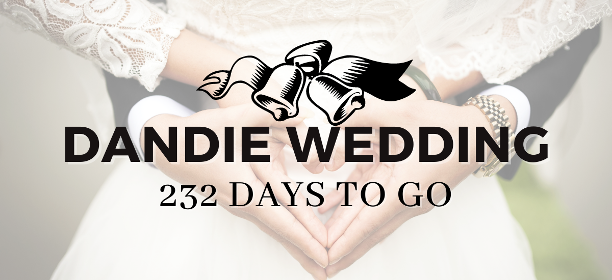 Dandie Wedding: 232 Days to go!