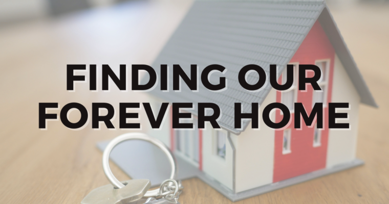 Finding Our Forever Home