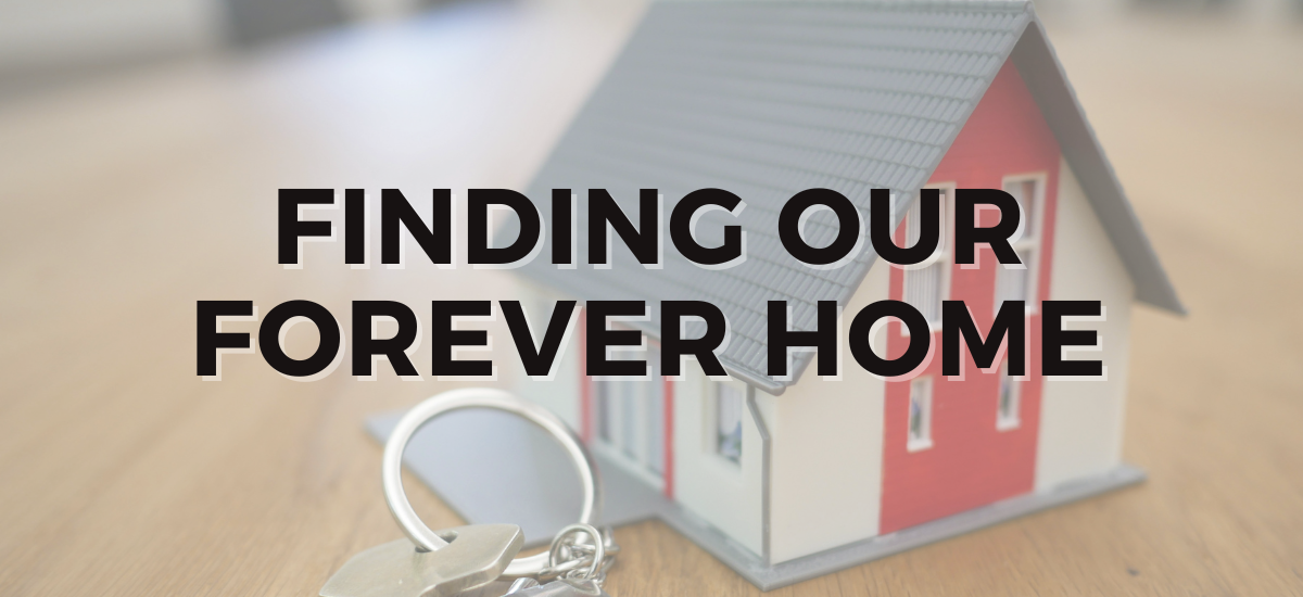 Finding Our Forever Home